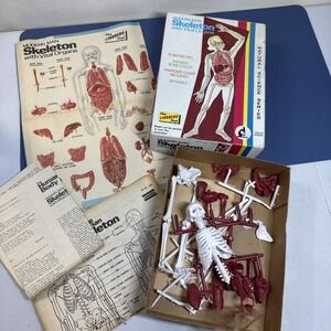 Vintage 1974 Lindberg Modern Man Skeleton Vital Organs Model Kit 1317 12 Inch‎
